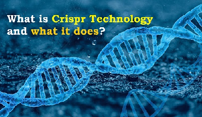 What is Crispr Technology and what it does